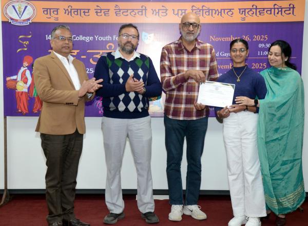 Prize distribution ceremony in the various categories during the 14th Youth Festival 