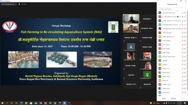 KVK Mohali organizes virtual workshop on Re-circulating Aquaculture System (RAS)
