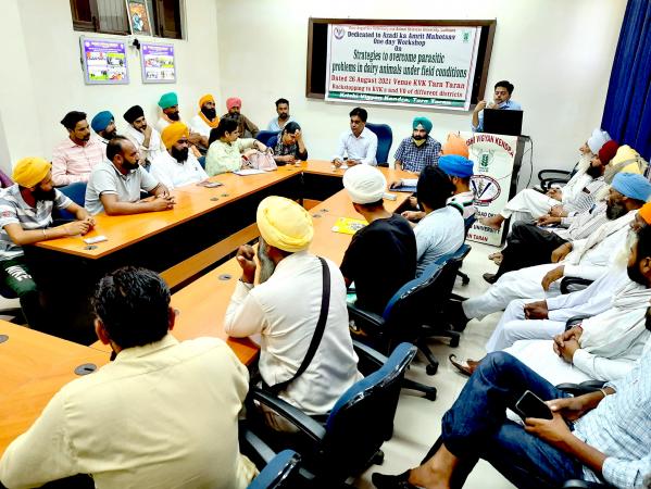 Krishi Vigyan Kendra, Tarn Taran organizes workshop on parasitic problems