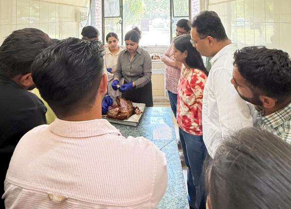 The workshop focused on practical and field-oriented aspects of veterinary practice including blood sampling techniques in poultry and pigs, surgical management of urinary obstruction, nutritional requirements of sheep, goats, pigs and poultry