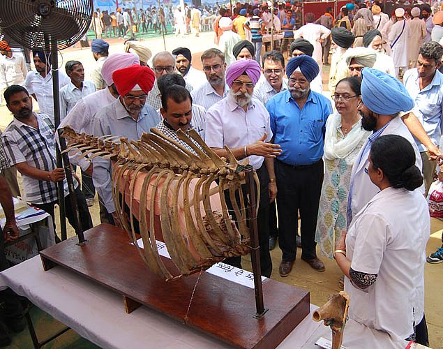 Dr. A. S. Nanda, Vice Chancellor, GADVASU visit the stall of Veterinary Anatomy on 23rd Sept. 2016