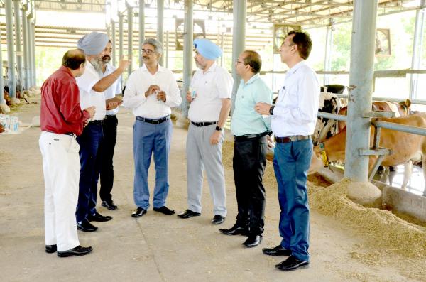 NABARD team visits Dairy Farm