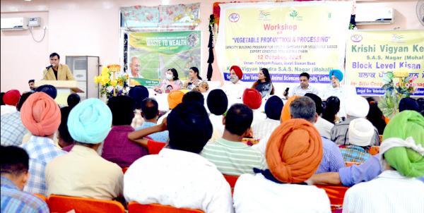 Vet varsitys KVK Mohali Organizes Workshop on Vegetable Production & Processing