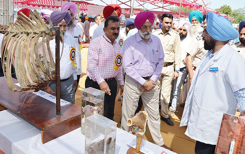 Dr. A. S. Nanda, Vice Chancellor, GADVASU visit the stall of Veterinary Anatomy on 24th March, 2017