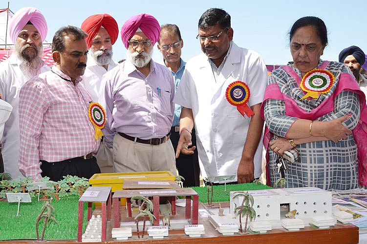 Dr. A. S. Nanda, Vice Chancellor, GADVASU visit the stall of Fisheries on 24th March 2017