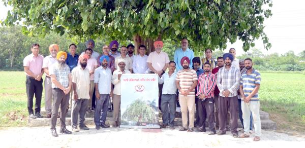 Vet Varsity launches Green Campus Movement with Tree Plantation Drive