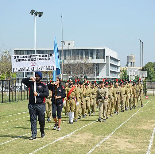 11th Annual Athletic meet of GADVASU