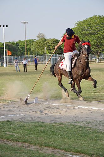 11th Annual Athletic meet of GADVASU