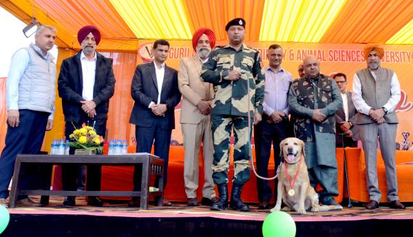 Esteemed dignitaries and university officials presided over the prestigious Veterinary University Dog Show