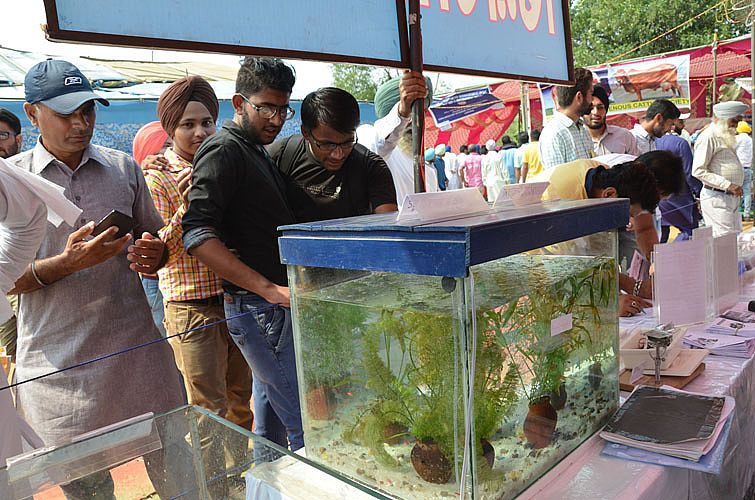 Farmers visit the 21st Pashu Palan Mela held on 22nd September, 2016