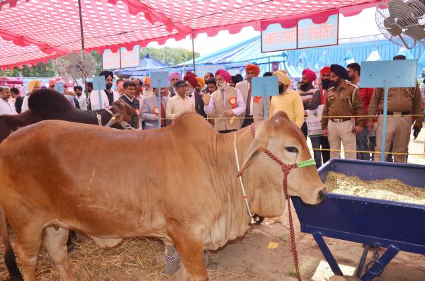 Dr. A. S.  Nanda, Vice Chancellor and other officers of the University visited the exhibit stalls of 26th Pashu Palan Mela