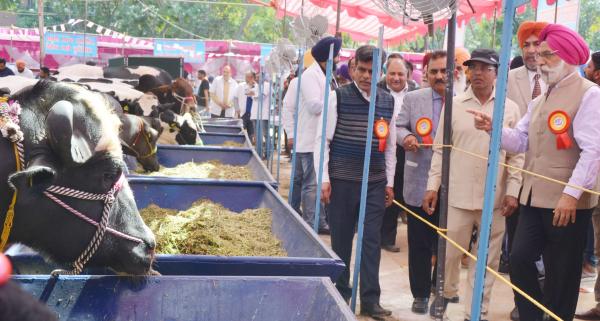 Dr. A. S.  Nanda, Vice Chancellor and other officers of the University visited the exhibit stalls of 26th Pashu Palan Mela