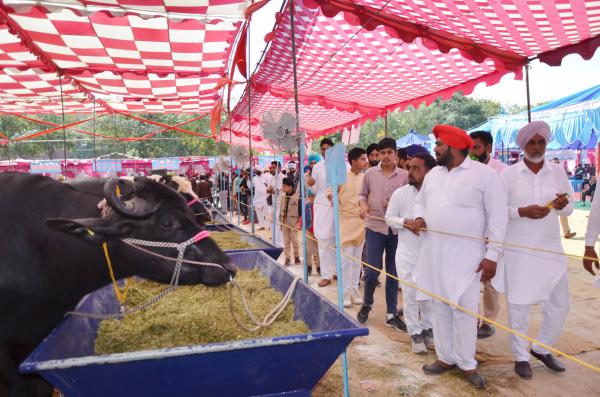 Farmers visited the 26th Pashu Palan Mela (16-3-2019)