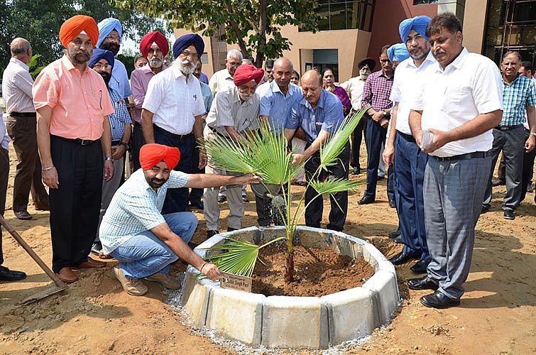r. A.S Nanda, Vice-Chancellor, GADVASU and other faculty implanting the palm trees on occasion of Teachers Day