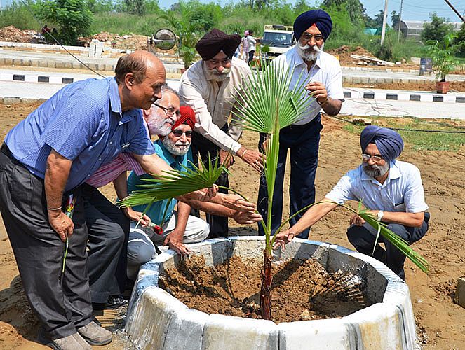 Dr. A.S Nanda, Vice-Chancellor, GADVASU and other faculty implanting the palm trees on occasion of Teachers Day