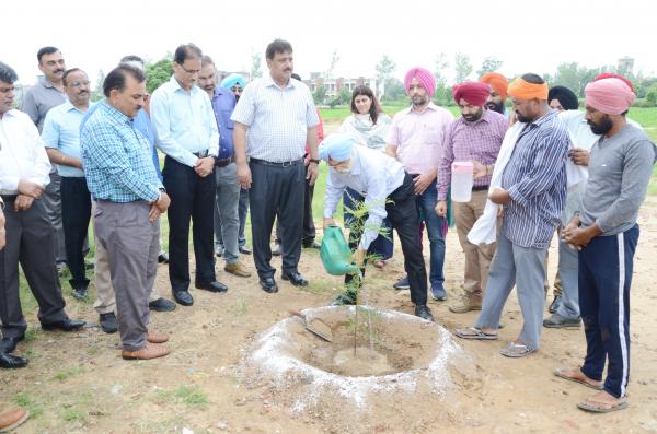 Dr. A. S. Nanda, Vice Chancellor and other officer of vet varsity dedicates Plantation Drive to Guru Nanak Sahib anniversary