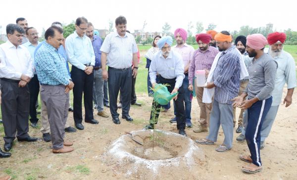 Dr. A. S. Nanda, Vice Chancellor and other officer of vet varsity dedicates Plantation Drive to Guru Nanak Sahib anniversary