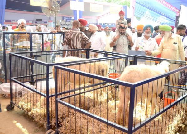 Farmers comes with a huge crowd to the pashu palan mela