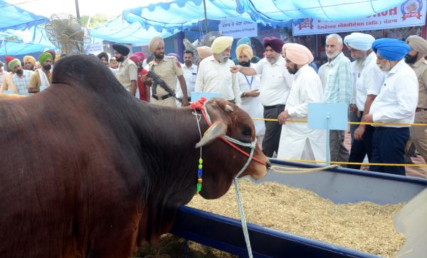 Dignitaries during mela visit