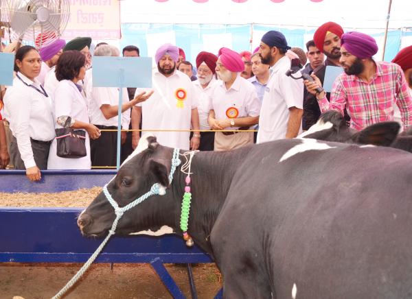 Capt. Amrinder Singh, Chief Minister of Punjab and Vice Chancellor visited the stalls in Pashu Palan Mela on 21-09-2019