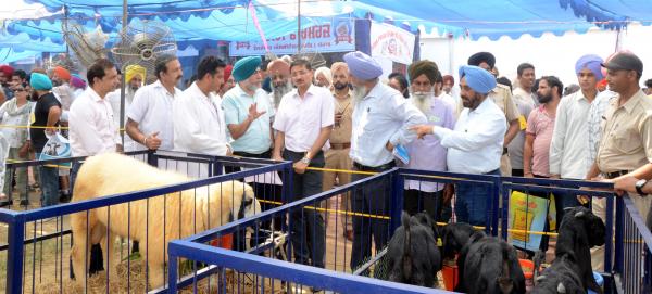 Dignitaries during mela visit
