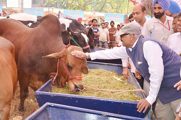 24th Pashu Palan Mela Starts at Veterinary Varsity on 23rd March, 2018