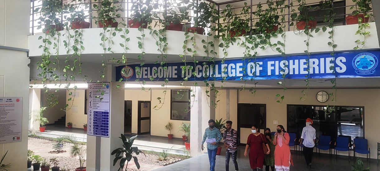 College of Fisheries