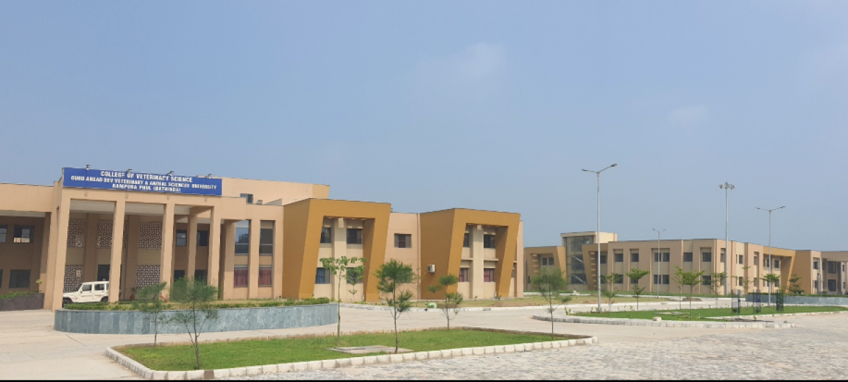 College of Veterinary Science, Rampura Phul